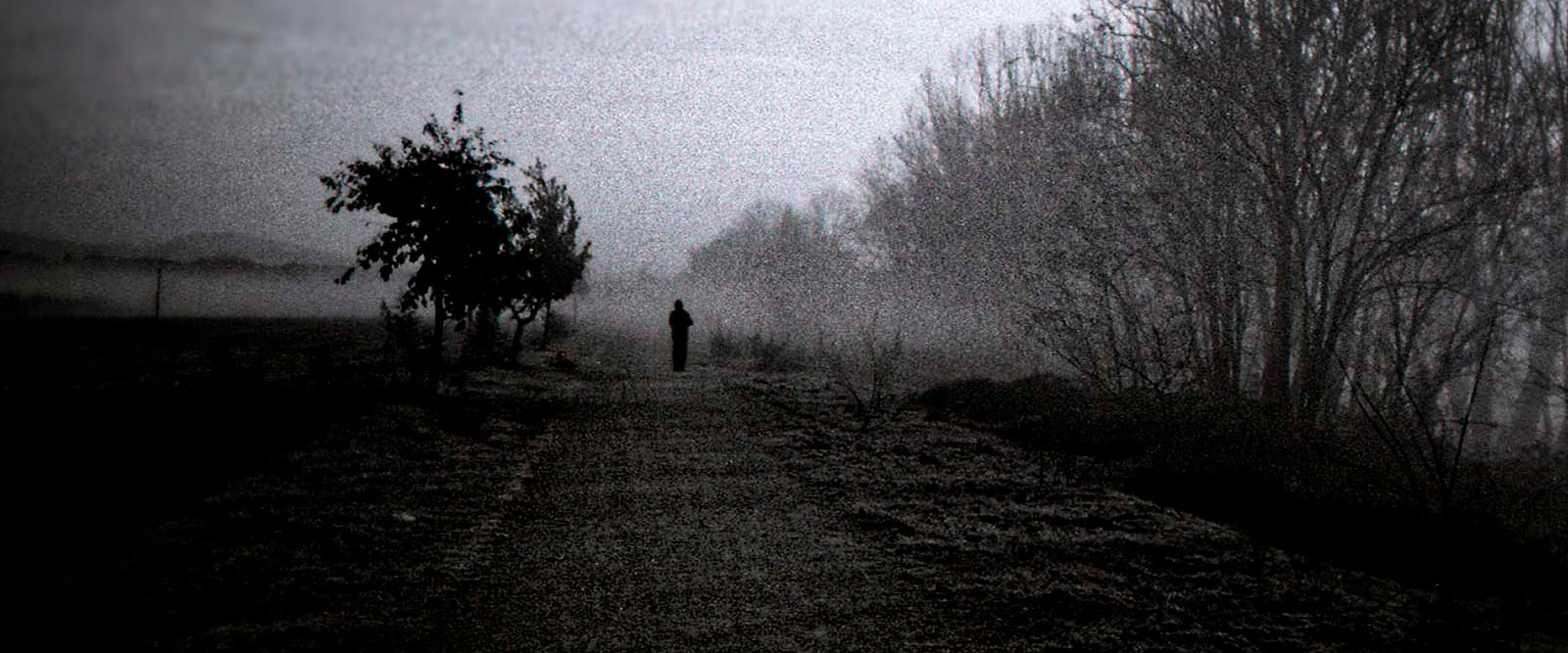 solitudine
