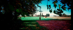countryside_summer