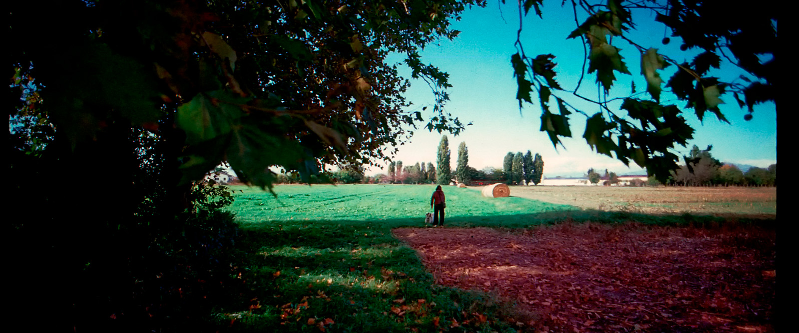 countryside_summer