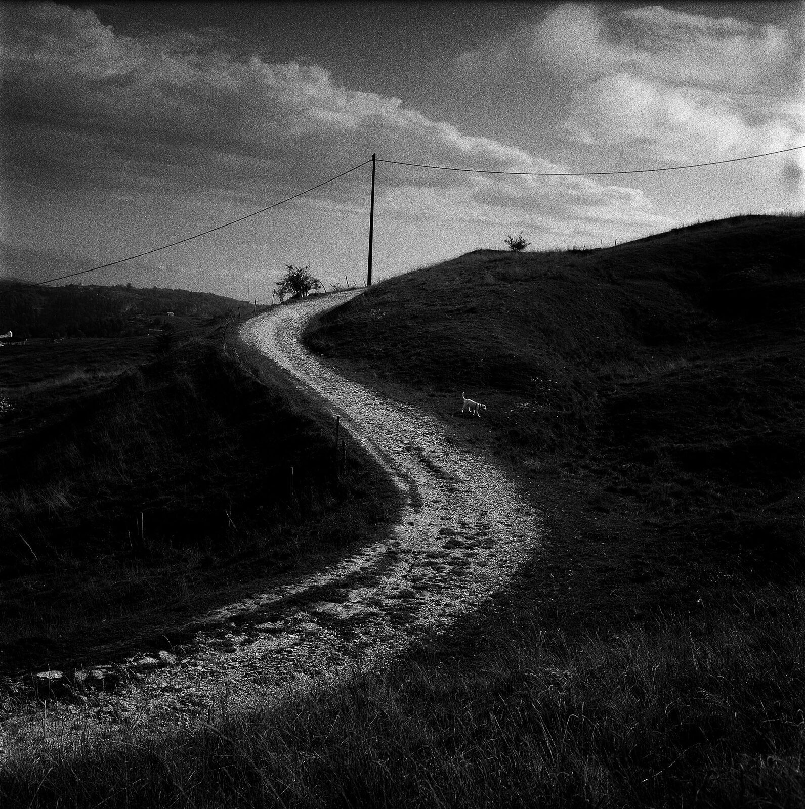 Strada in montagna